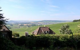 Le Sarment - HAUTVILLERS