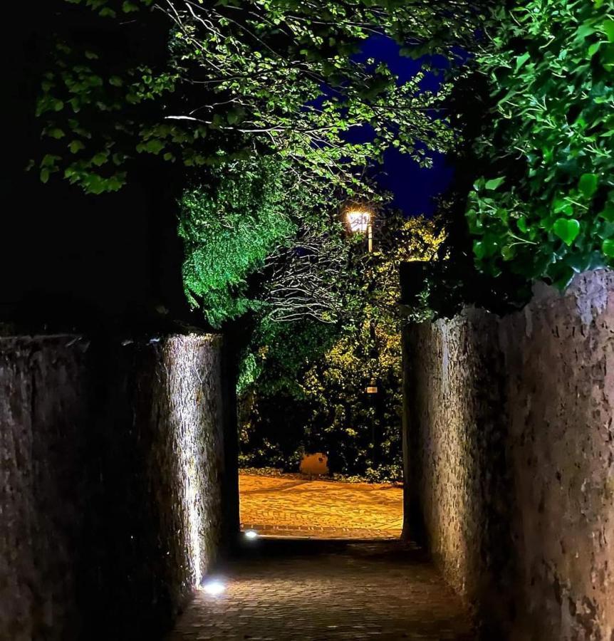 Le Sarment - HAUTVILLERS Extérieur photo